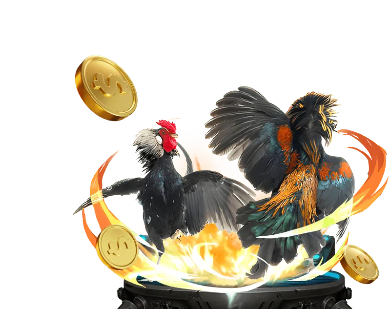 Cam kết của 789win7